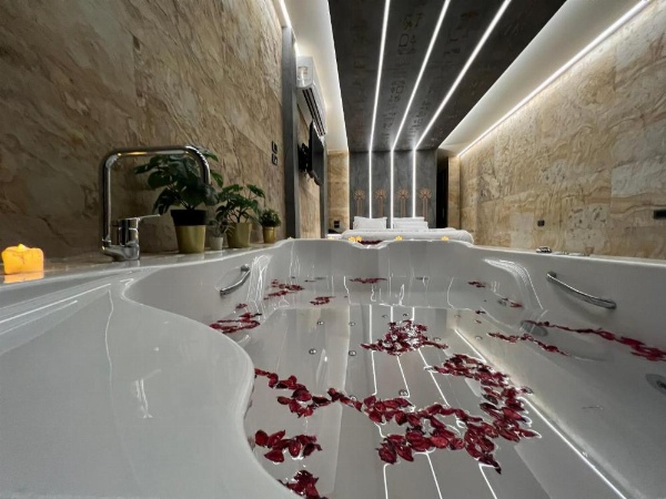 فندق الهرم الكبير image 79